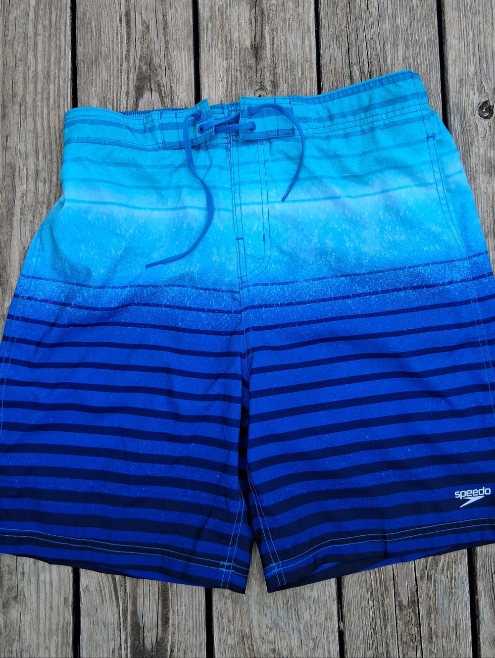Speedo Blue Striped Swim Shorts Large